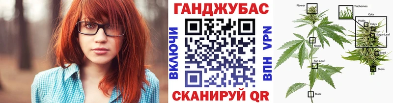 Где купить Гаврилов Посад Alpha PVP  КОКАИН  Гашиш  МЕФ  Псилоцибиновые грибы  МДМА  Конопля 