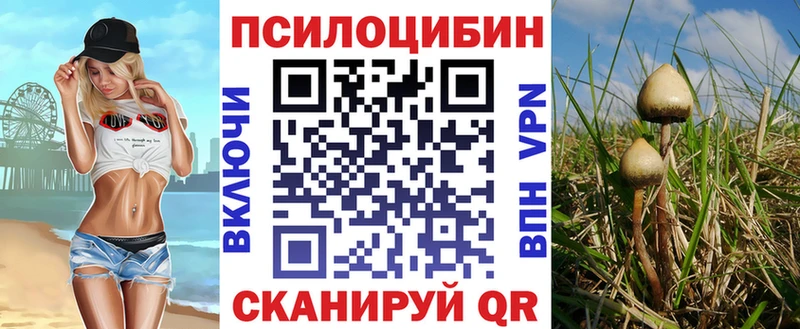 даркнет сайт сайты даркнета как зайти Галлюциногенные грибы прущие грибы Гаврилов Посад