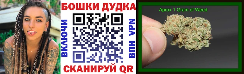 Бошки Шишки сатива  Гаврилов Посад 